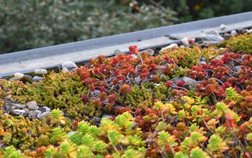 the cost of Oldhall green roof installation