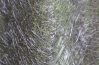 Oldhall fibreglass roof work