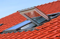 Oldhall roof window