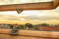 rated Oldhall roof window companies